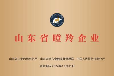 熱烈慶祝自動纏繞包裝機廠家深藍機器榮獲山東省瞪羚企業(yè)榮譽